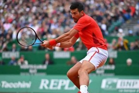 官方网站-德约科维奇连续七场比赛得分超过败北，德国队不断突破！引发球迷热议的简单介绍